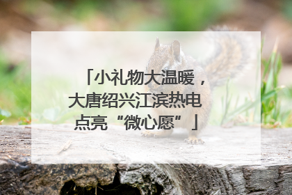 小礼物大温暖，大唐绍兴江滨热电点亮“微心愿”
