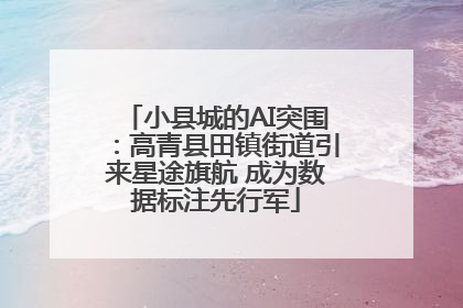 小县城的AI突围：高青县田镇街道引来星途旗航 成为数据标注先行军