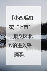 小西瓜甜蜜“上市”，顺义区北务镇进入采摘季