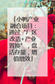 小鸭产业融合项目：通过“厂区改造+产业置换”，盘活存量，增值增效