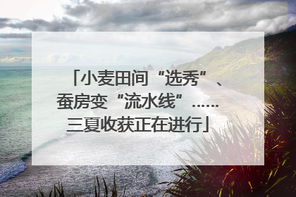 小麦田间“选秀”、蚕房变“流水线”……三夏收获正在进行