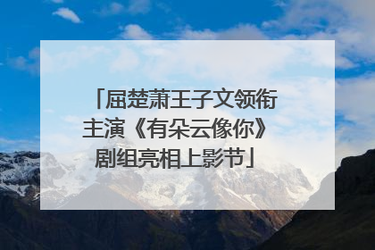 屈楚萧王子文领衔主演《有朵云像你》剧组亮相上影节