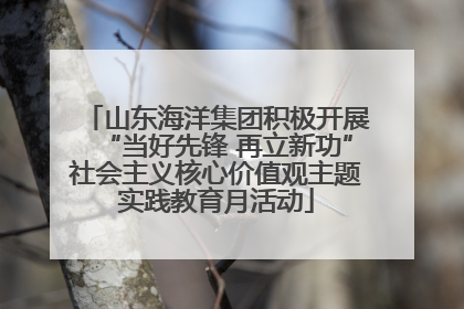 山东海洋集团积极开展“当好先锋 再立新功”社会主义核心价值观主题实践教育月活动