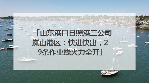 山东港口日照港三公司岚山港区：快进快出，29条作业线火力全开