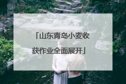 山东青岛小麦收获作业全面展开