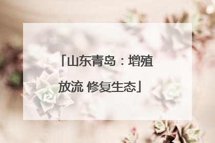 山东青岛：增殖放流 修复生态