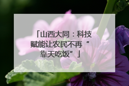 山西大同：科技赋能让农民不再“靠天吃饭”