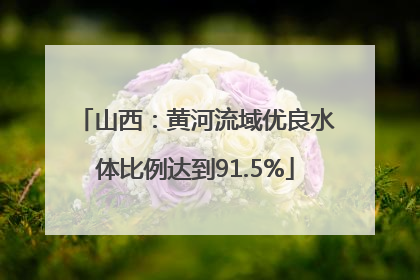 山西：黄河流域优良水体比例达到91.5%