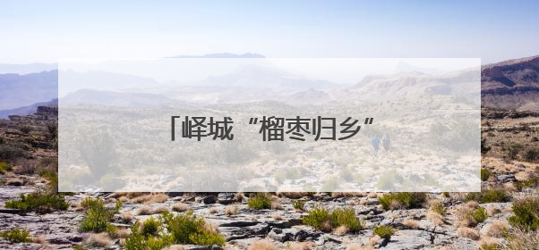峄城“榴枣归乡”引才直通车驶入校地企共赢新航程