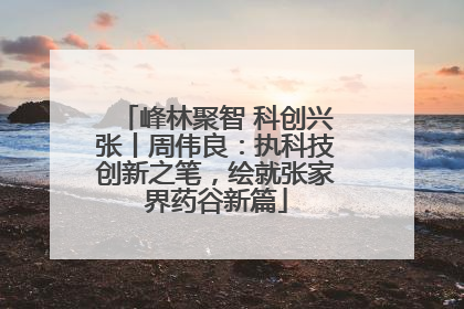 峰林聚智 科创兴张丨周伟良：执科技创新之笔，绘就张家界药谷新篇