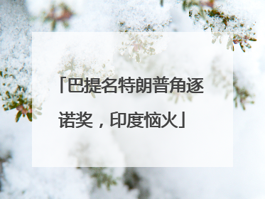 巴提名特朗普角逐诺奖，印度恼火
