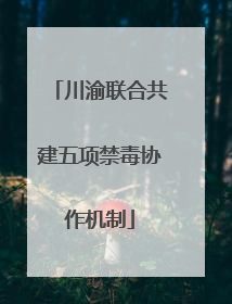 川渝联合共建五项禁毒协作机制