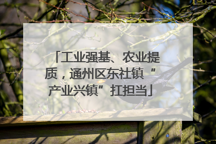 工业强基、农业提质，通州区东社镇“产业兴镇”扛担当