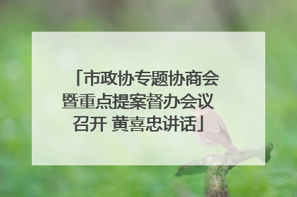 市政协专题协商会暨重点提案督办会议召开 黄喜忠讲话