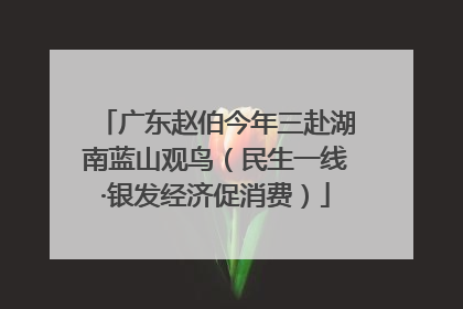 广东赵伯今年三赴湖南蓝山观鸟（民生一线·银发经济促消费）