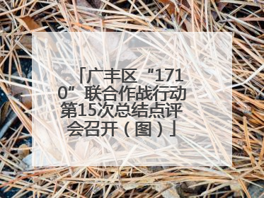 广丰区“1710”联合作战行动第15次总结点评会召开（图）
