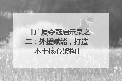 广厦夺冠启示录之二：外援赋能，打造本土核心架构