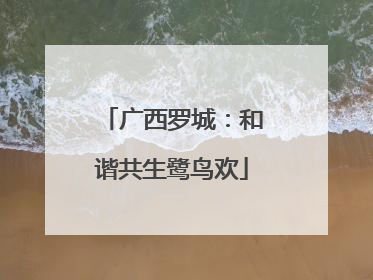 广西罗城：和谐共生鹭鸟欢