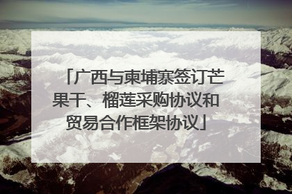 广西与柬埔寨签订芒果干、榴莲采购协议和贸易合作框架协议