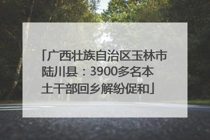 广西壮族自治区玉林市陆川县：3900多名本土干部回乡解纷促和
