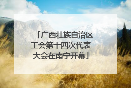 广西壮族自治区工会第十四次代表大会在南宁开幕