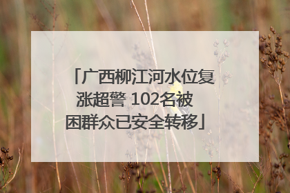 广西柳江河水位复涨超警 102名被困群众已安全转移