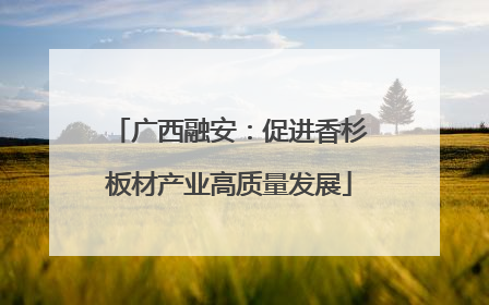 广西融安：促进香杉板材产业高质量发展