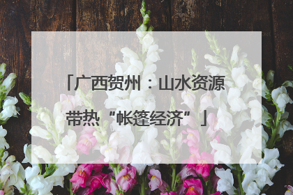 广西贺州：山水资源带热“帐篷经济”