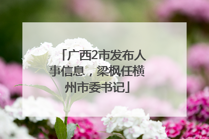 广西2市发布人事信息，梁枫任横州市委书记