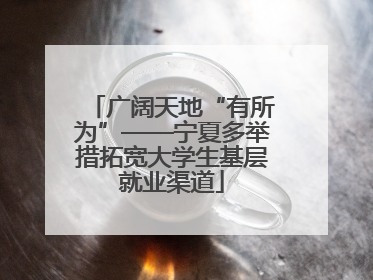 广阔天地“有所为”——宁夏多举措拓宽大学生基层就业渠道