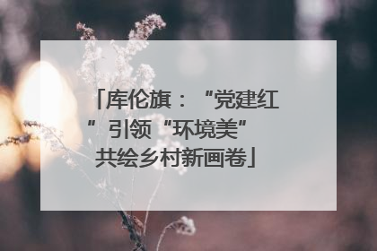 库伦旗：“党建红”引领“环境美” 共绘乡村新画卷