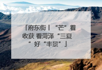 府东街丨“芒”着收获 看菏泽“三夏”好“丰景”