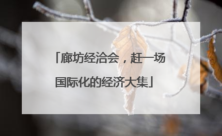 廊坊经洽会，赶一场国际化的经济大集