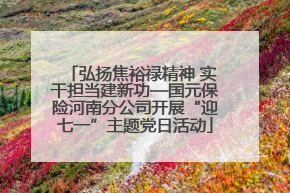 弘扬焦裕禄精神 实干担当建新功—国元保险河南分公司开展“迎七一”主题党日活动