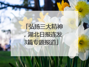 弘扬三大精神，湖北日报连发3篇专题报道