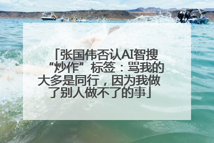 张国伟否认AI智搜“炒作”标签：骂我的大多是同行，因为我做了别人做不了的事