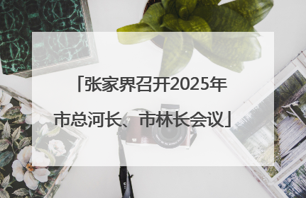 张家界召开2025年市总河长、市林长会议