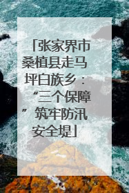 张家界市桑植县走马坪白族乡：“三个保障”筑牢防汛安全堤