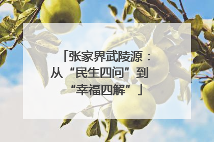 张家界武陵源：从“民生四问”到“幸福四解”