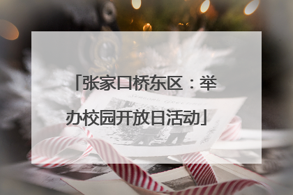 张家口桥东区：举办校园开放日活动