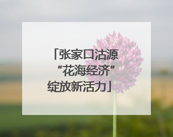 张家口沽源“花海经济”绽放新活力