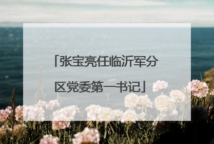 张宝亮任临沂军分区党委第一书记