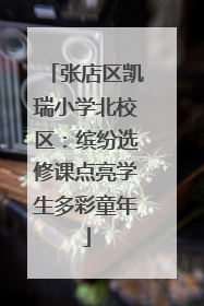 张店区凯瑞小学北校区：缤纷选修课点亮学生多彩童年