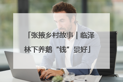 张掖乡村故事｜临泽林下养鹅“钱”景好