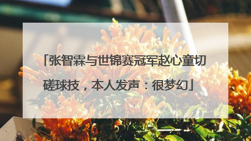 张智霖与世锦赛冠军赵心童切磋球技，本人发声：很梦幻