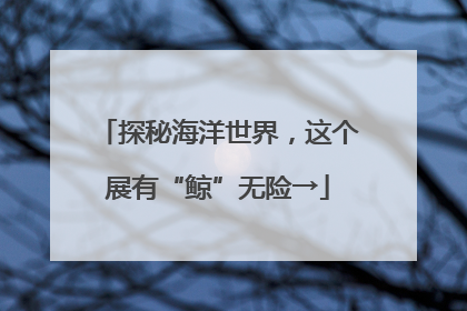 探秘海洋世界，这个展有“鲸”无险→