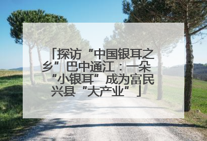 探访“中国银耳之乡”巴中通江：一朵“小银耳”成为富民兴县“大产业”