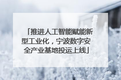 推进人工智能赋能新型工业化，宁波数字安全产业基地投运上线