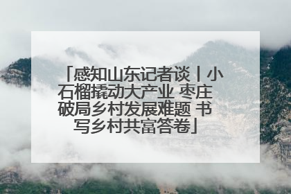 感知山东记者谈丨小石榴撬动大产业 枣庄破局乡村发展难题 书写乡村共富答卷