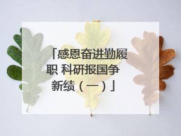 感恩奋进勤履职 科研报国争新绩（一）